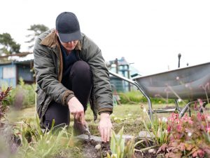 Draper Tools research reveals popularity of gardening among young people